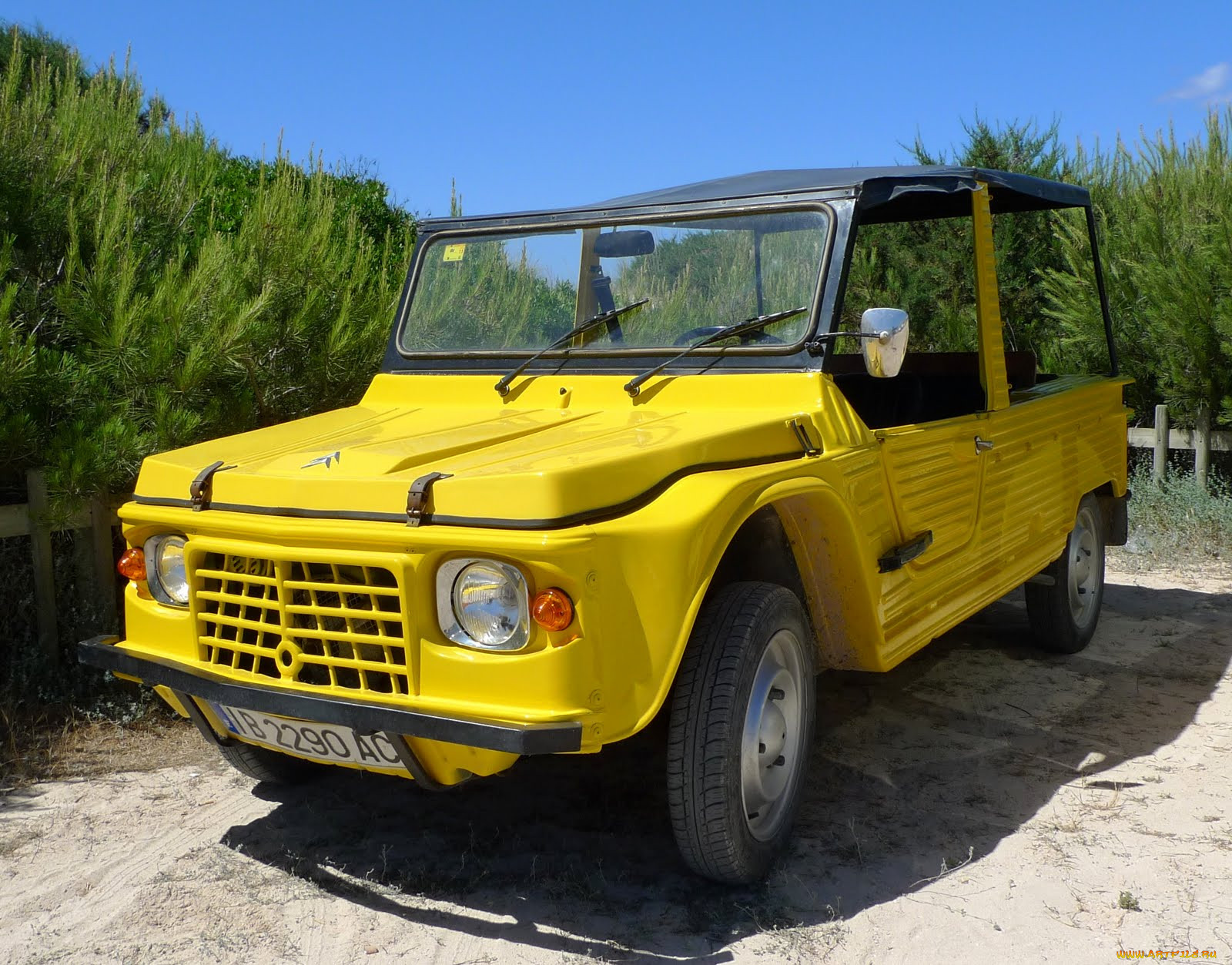 , citroen, 